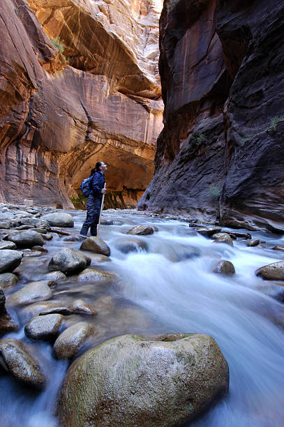 wandern der narrows - zion narrows stock-fotos und bilder