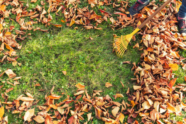 Raking leaves Raking leaves fall lawn stock pictures, royalty-free photos & images