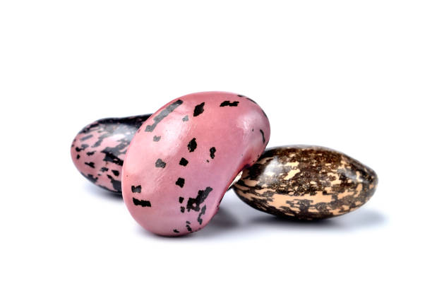 istock Three large kidney beans isolated on a white background 956134490