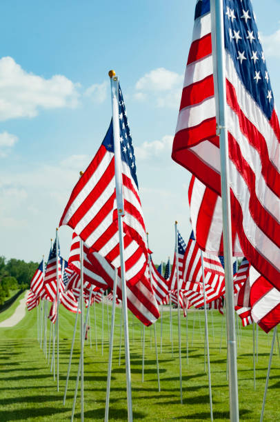 istock American Flags on Memorial Day 956134658