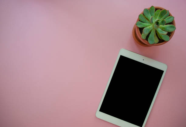 istock Desk with tablet and succulent. 956137290