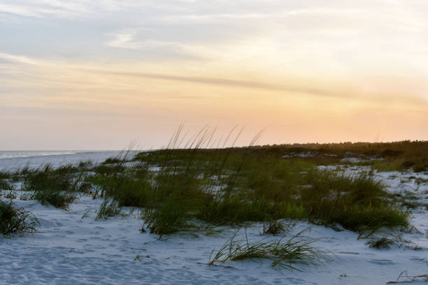 istock Deserted Beach with colorful sky 956139186