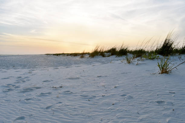 istock Deserted Beach with colorful sky 956139210
