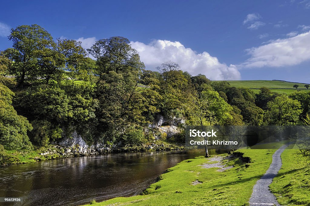 Fiume Wharfe e alberi - Foto stock royalty-free di Fiume Wharfe