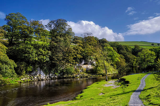 River Wharfe and trees  river wharfe stock pictures, royalty-free photos & images