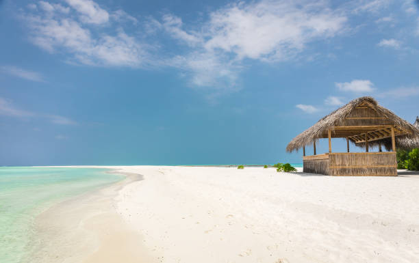 istock Sand dune and turquoise ocean in Maldives 956142682