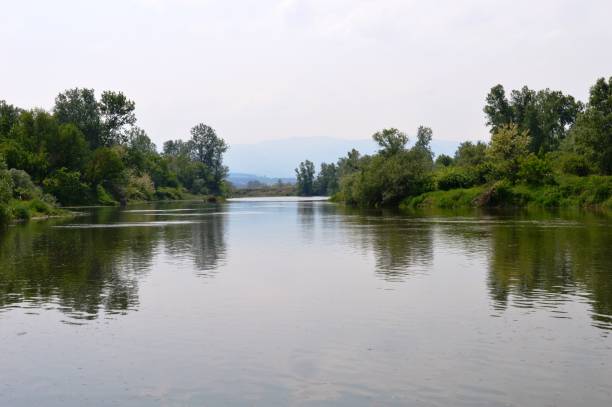 istock the green coast of the river 956143942