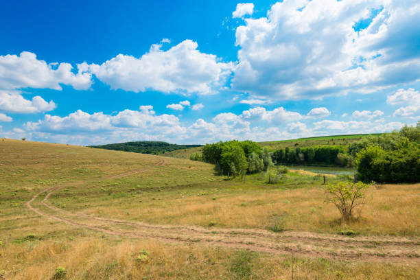 istock landscape of countryside with fields 956143996