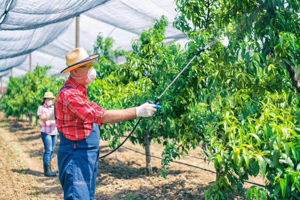 agricoltore che protegge le sue piante con sostanze chimiche - spraying agriculture farm herbicide foto e immagini stock