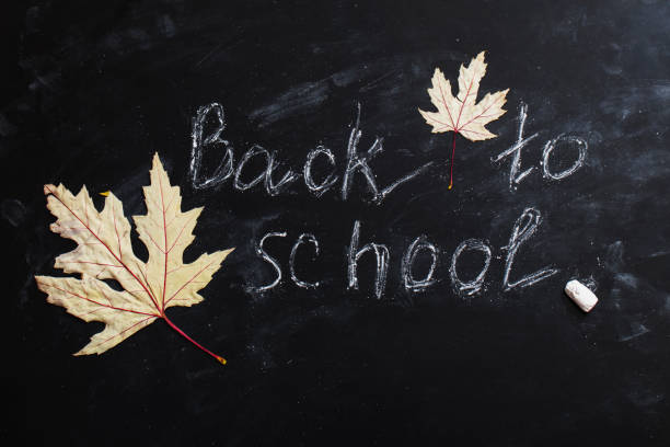 istock black blackboard with autumn leaves 956148010