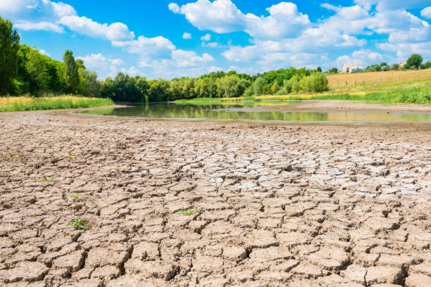 istock lake with a dry swamp on the shore 956148654