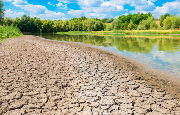 istock lake with a dry swamp on the shore 956151218