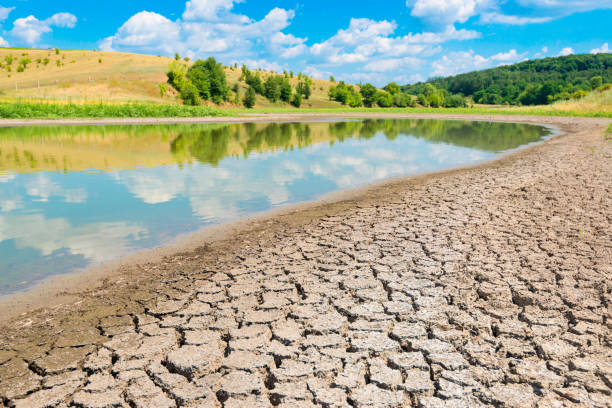 istock lake with a dry swamp on the shore 956151518