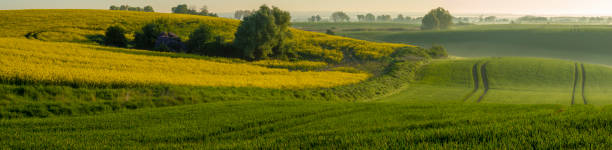 istock green, spring fields on rolling hills in germany in the light of the setting sun - high resolution panorama 956152198