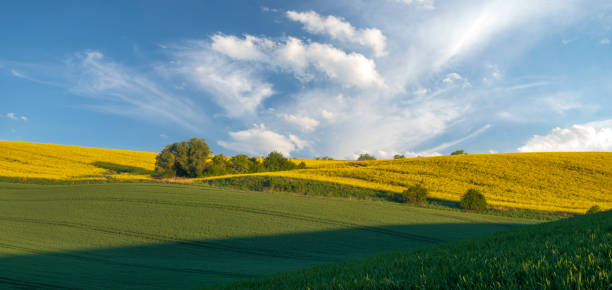 istock green, spring fields on rolling hills in germany in the light of the setting sun - high resolution panorama 956152200