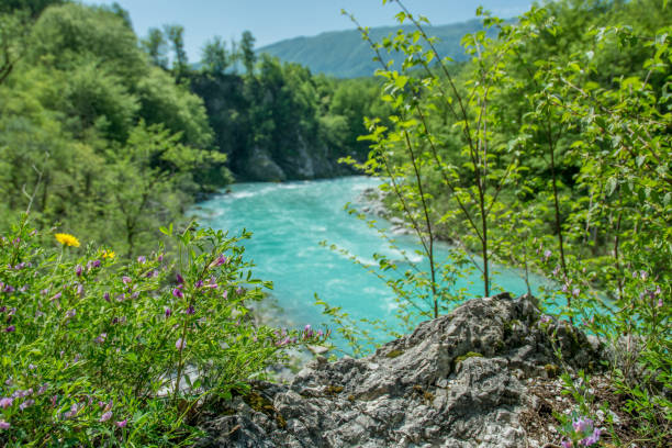 Soca river in Slovenia stock photo