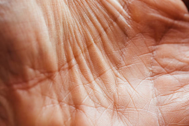 Studio gesture of an unrecognizable woman's hand against a white background
