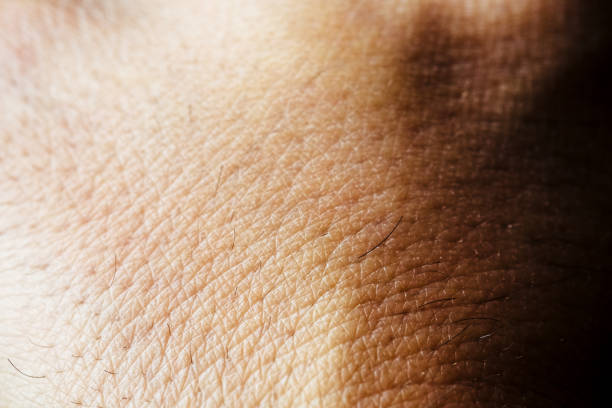 Detail of Close up of hand skin