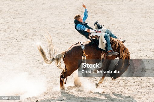 istock Rodeo Competition 956161024