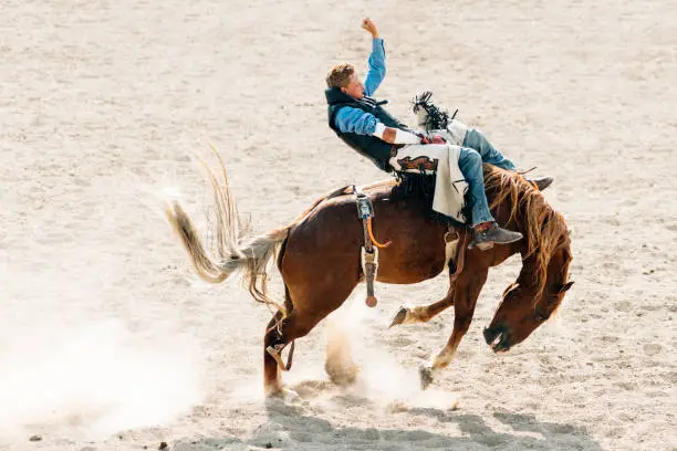 Cowboy riding horse at rodeo arena