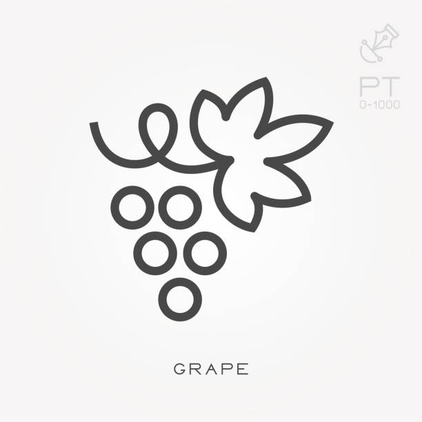 ilustrações, clipart, desenhos animados e ícones de uva de ícone de linha - grape