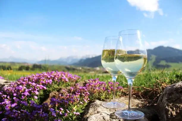 Photo of Two white wine glasses against an Alpine backdrop, romantic with a blooming blue cushion