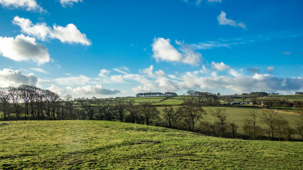 istock Farmland scene in Peak District 956166728