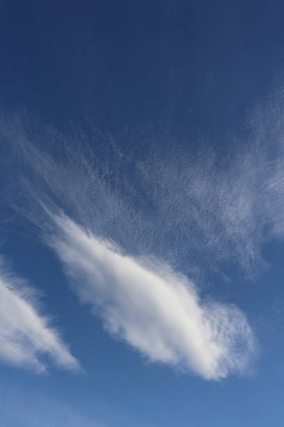 istock Close up of fluffy white clouds against blue sky with copy space 956171472
