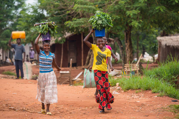 Two Women carrying food on a rural unpaved road, DR Congo Karawa, Democratic Republic of Congo - August 24, 2013: Two Women carrying food (vegetables) on their heads on an unpaved road in rural Congo, province of Equateur. Walking and bicycling is nearly the only way of transportation in the poor regions of Congo. central africa stock pictures, royalty-free photos & images