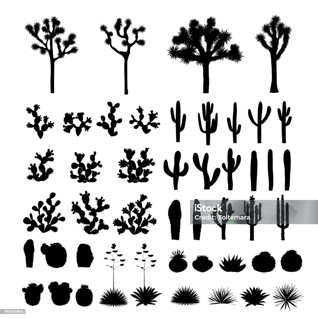 Big collection of black silhouettes of cacti, agaves, joshua tree, and prickly pear Big set with silhouettes of cacti, agaves, joshua tree, and prickly pear. Vector cactus collection, black and white design elements Cactus stock vector