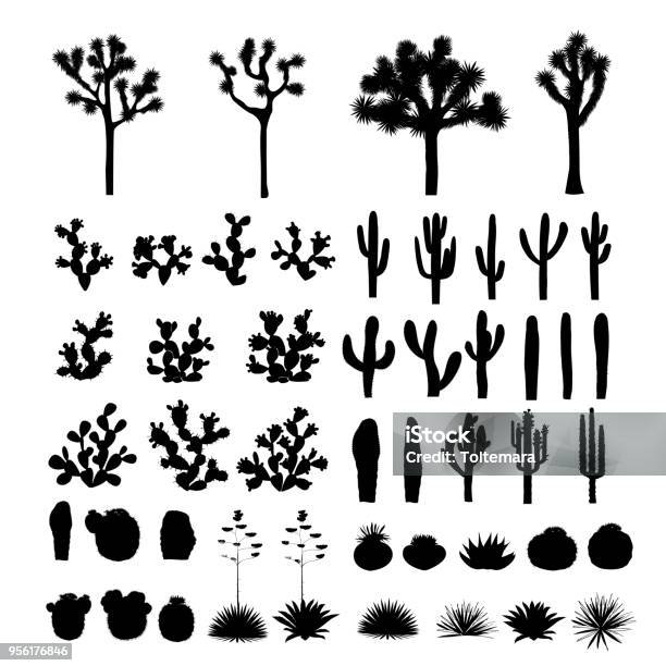 Big Collection Of Black Silhouettes Of Cacti Agaves Joshua Tree And Prickly Pear Stock Illustration - Download Image Now