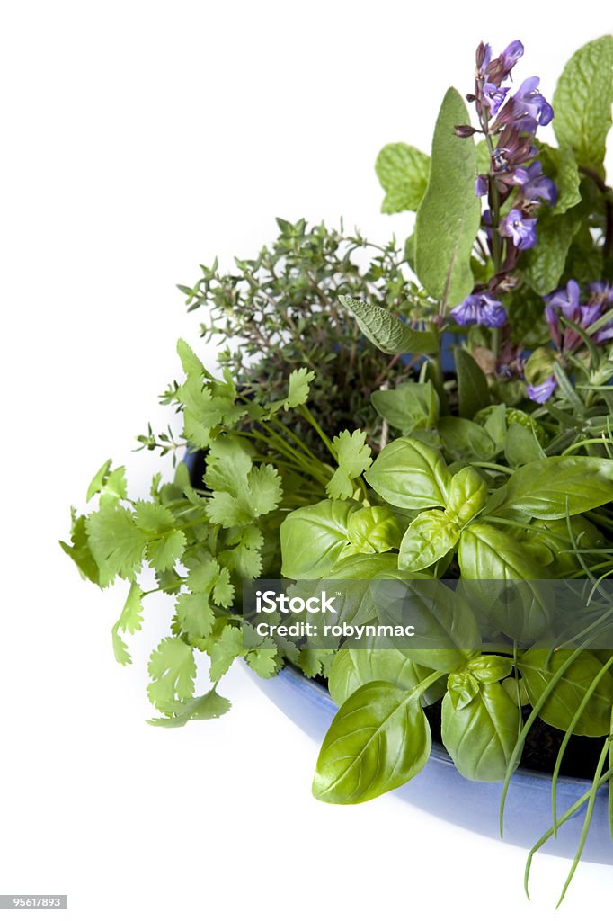 Orto delle erbe - Foto stock royalty-free di Alimentazione sana