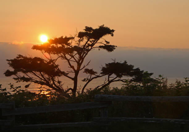 istock Kalaloch Majesty at Sunset, Washington State 956180188