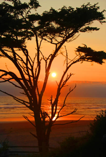 istock Kalaloch Majesty at Sunset, Washington State 956180206