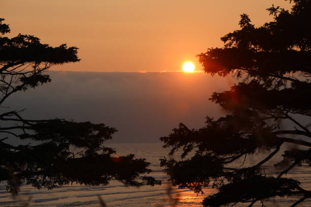 istock Kalaloch Majesty at Sunset, Washington State 956180492