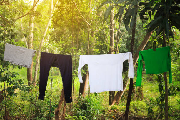 istock clothes hanging on clothesline in front of green jungles 956181374