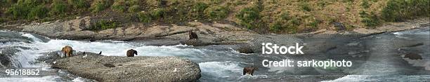 Водопад Макнилл Panorama — стоковые фотографии и другие картинки Без людей - Без людей, Бурый медведь, Горбуша