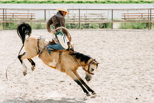 Cowboy riding horse at rodeo arena