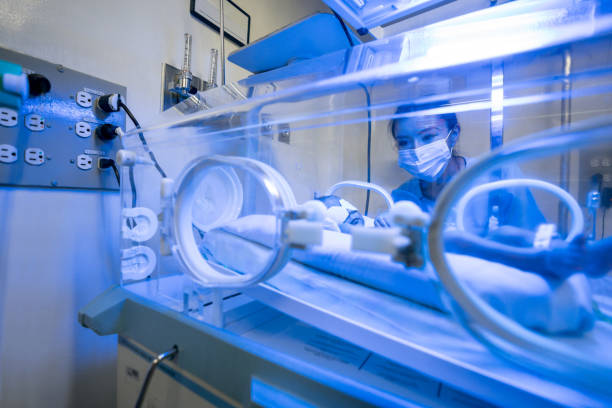 soin infirmier vérifiant un nouveau-né en incubateur soignée pour un ictère - yellowing photos et images de collection
