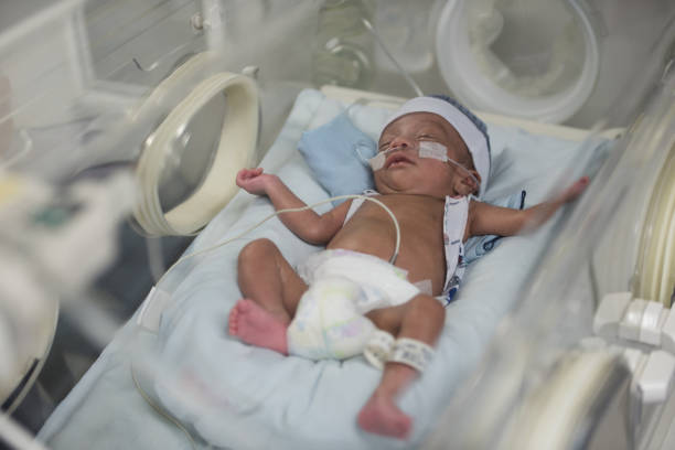 istock Beautiful newborn in the neonatal intensive care unit sleeping 956193188