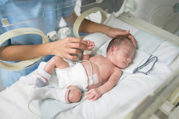 oigenkännlig sjuksköterska smekande en nyfödd bebis i en inkubator medan han sover - kuvös bildbanksfoton och bilder
