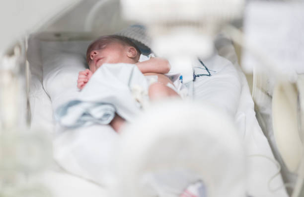 istock Gorgeous tranquil newborn baby in post delivery room 956193234