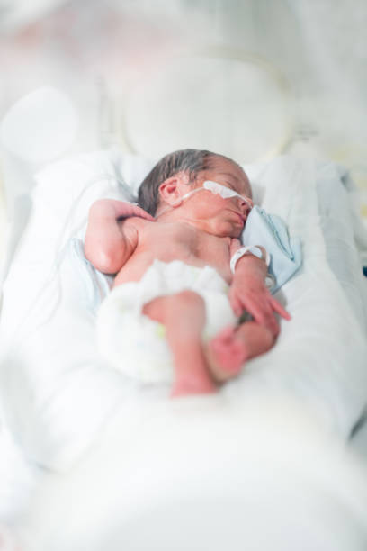 hermoso bebé tranquilo con oxígeno en incubadora - premature fotografías e imágenes de stock