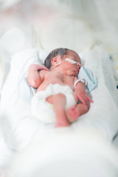 bellissimo bambino prematuro tranquillo con ossigeno in incubatrice - premature foto e immagini stock