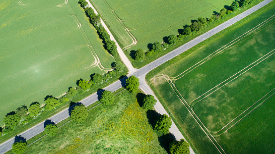 Crossroads and wheat fields in spring - aerial view