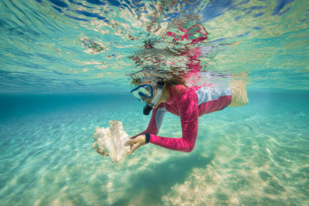 View of a woman snorkeling and holding a conch shell at Point of Sand in Little Cayman Island, Cayman Islands