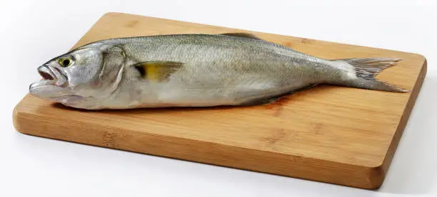 Fresh Bluefish on wooden cutting board