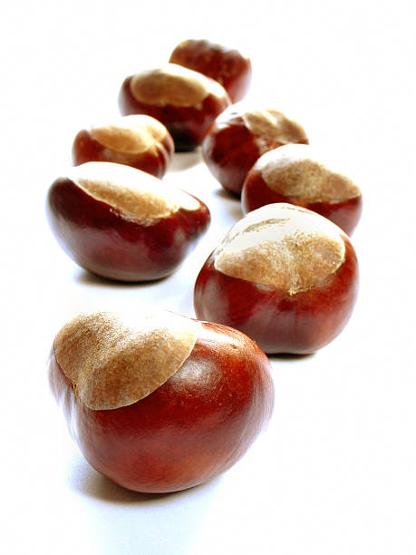 chestnuts1  cusp stock pictures, royalty-free photos & images