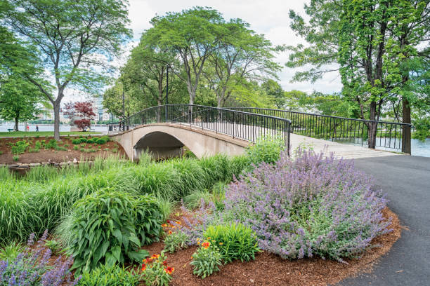 Charles River Esplanade in Back Bay Boston Massachusetts USA Stock photograph of Charles River Esplanade park in Back Bay Boston Massachusetts USA charles river stock pictures, royalty-free photos & images