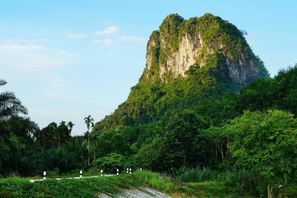 istock Mountain landscape in morning. 956224908